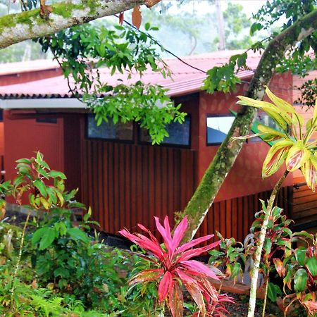 Casitas Eco Bambu Villa Cartago Ngoại thất bức ảnh