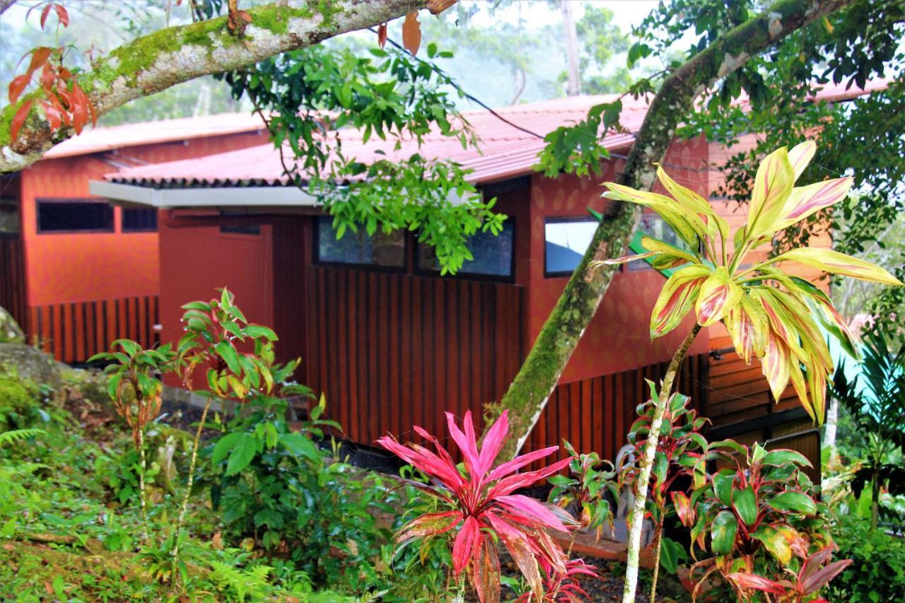 Casitas Eco Bambu Villa Cartago Ngoại thất bức ảnh