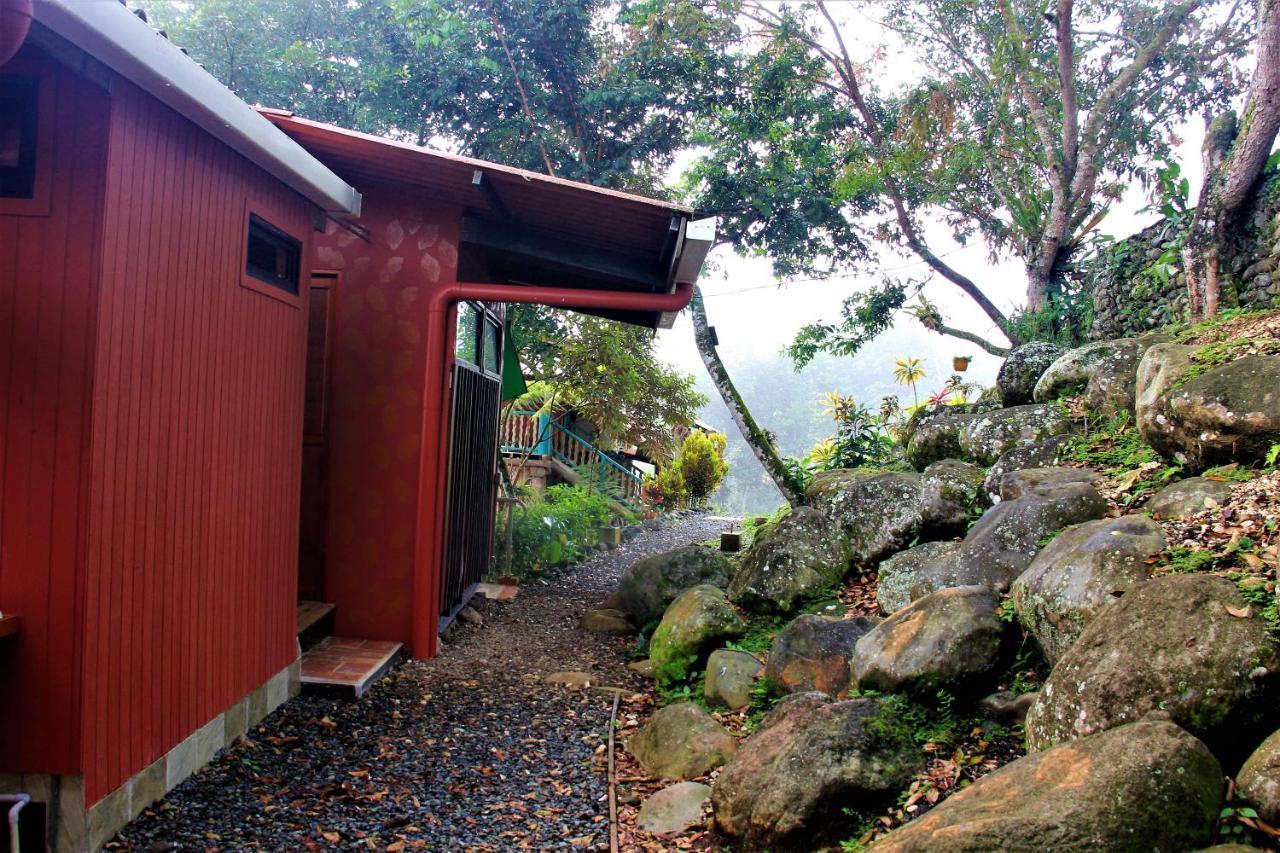 Casitas Eco Bambu Villa Cartago Ngoại thất bức ảnh