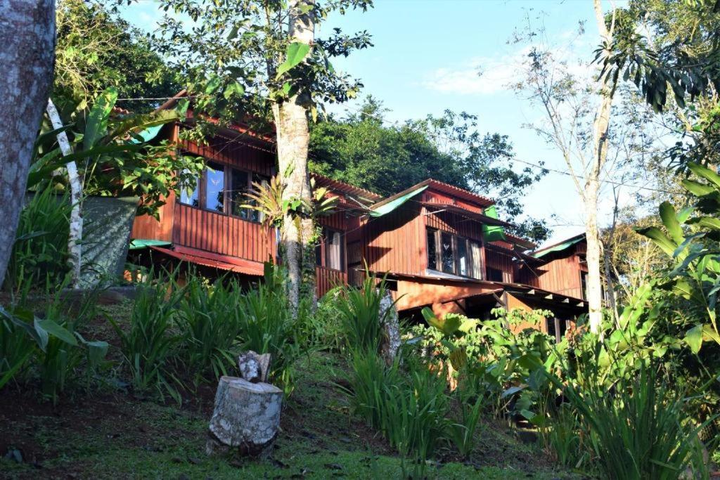Casitas Eco Bambu Villa Cartago Ngoại thất bức ảnh